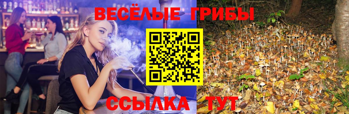 Петрозаводск  Псилоцибиновые грибы мицелий  Вход с VPN 